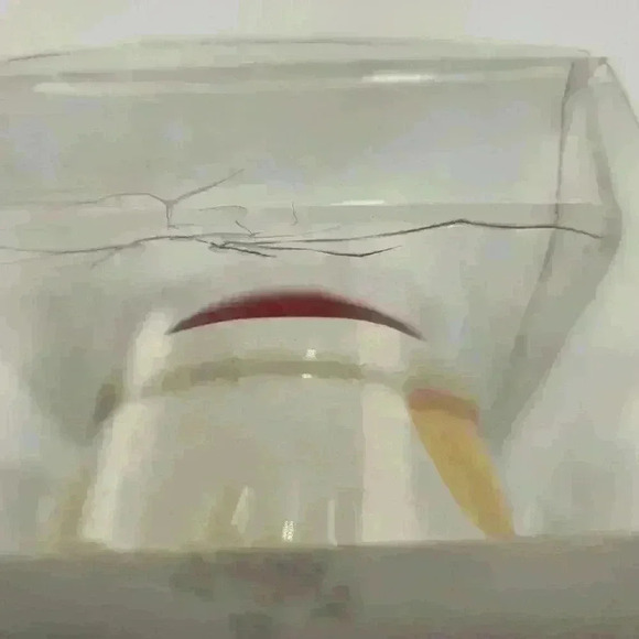 New In Box Cute Christmas Is Forever 3-D Santa‎ & Snowman Salt & Pepper Shakers - Picture 12 of 12